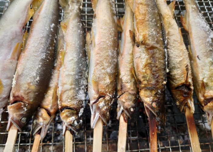 立川軽トラ市／鮎の塩焼き