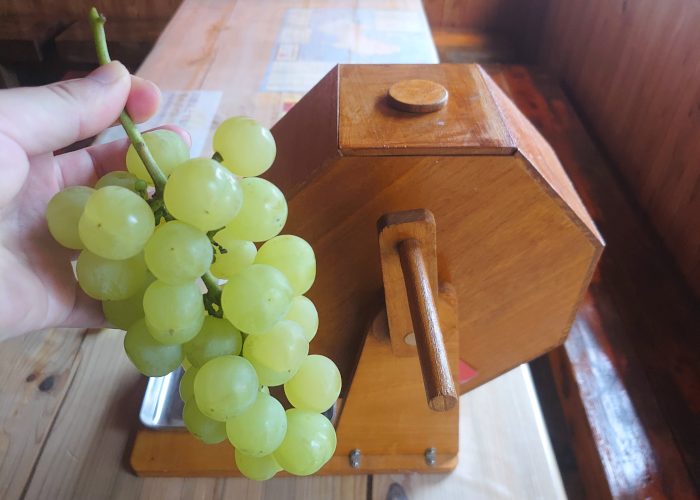 白ぶどうと手作りガラポン