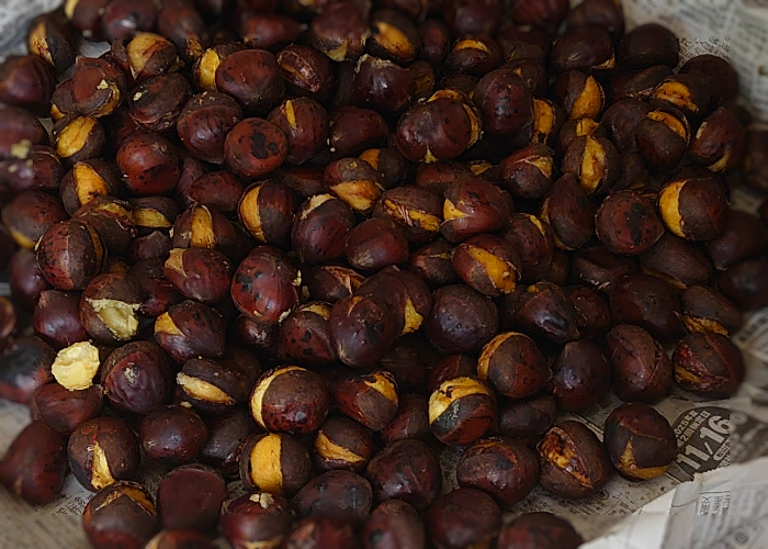 中山栗の焼き栗