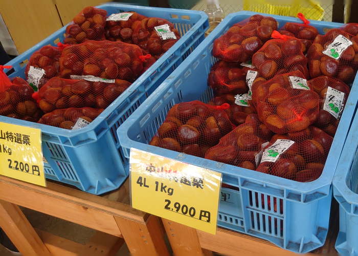 中山特選栗